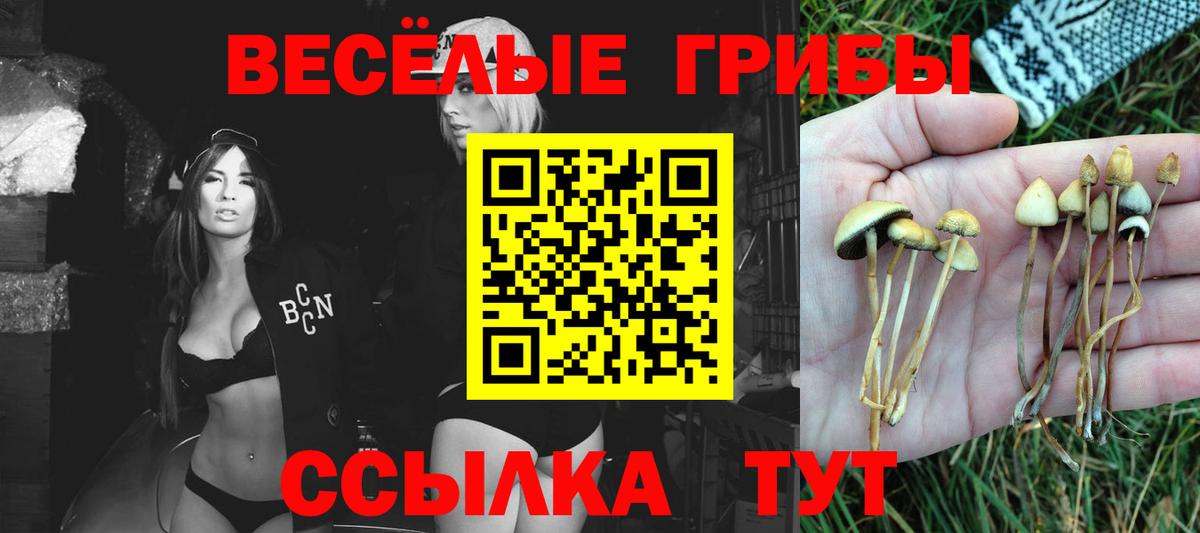 Псилоцибиновые грибы мухоморы  Псилоцибиновые грибы Psilocybe  Вход с VPN  Тобольск 